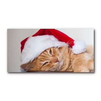 Foto schilderij op glas Cat Santa Hat Kerstmis
