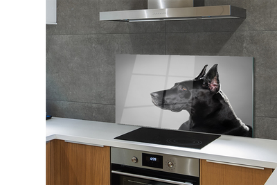 Keuken achterwand glas Zwarte hond