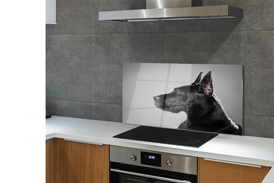 Keuken achterwand glas Zwarte hond