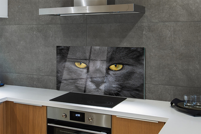 Glazen achterwand keuken Zwarte kat