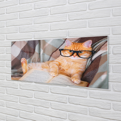 Glazen achterwand keuken Kat lezen