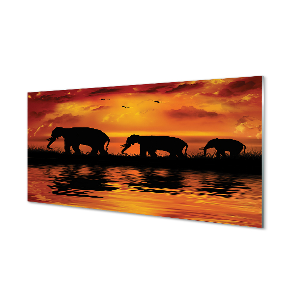 Moderne keuken achterwand Sunphant lake