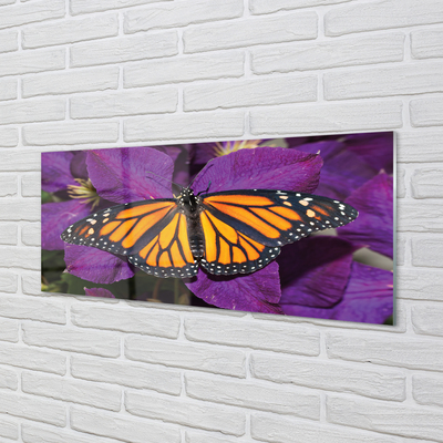 Glazen achterwand keuken Kleurrijke vlinderbloemen