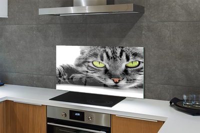 Glazen achterwand keuken Gray-black cat