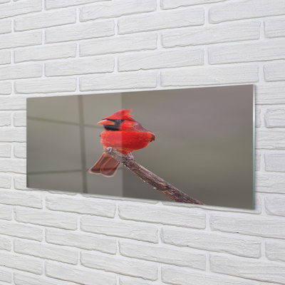 Glazen achterwand keuken Een rode papegaai op een tak