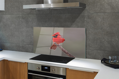 Glazen achterwand keuken Een rode papegaai op een tak
