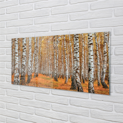 Keuken achterwand glas met print Herfstbomen