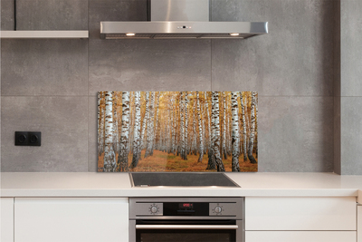 Keuken achterwand glas met print Herfstbomen