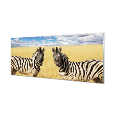 Keuken achterwand glas Zebra-veld