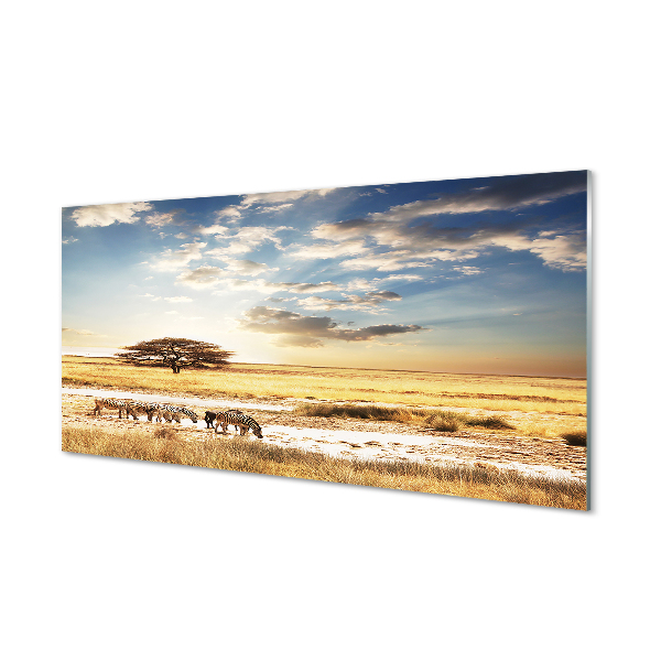 Moderne keuken achterwand Zebra cloud tree