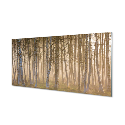 Keuken achterwand glas met print Sunrise forest tree