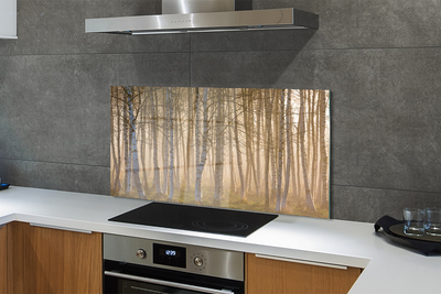 Keuken achterwand glas met print Sunrise forest tree