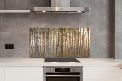 Keuken achterwand glas met print Sunrise forest tree