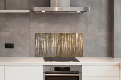 Keuken achterwand glas met print Sunrise forest tree