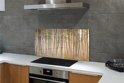 Keuken achterwand glas met print Sunrise forest tree