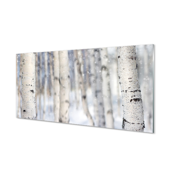 Keuken achterwand glas met print Winter bomen sneeuw