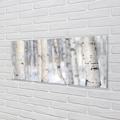 Keuken achterwand glas met print Winter bomen sneeuw