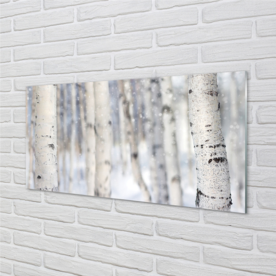 Keuken achterwand glas met print Winter bomen sneeuw