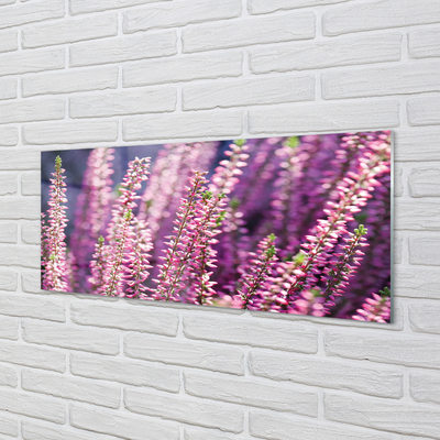 Keuken achterwand glas met print Bloemen