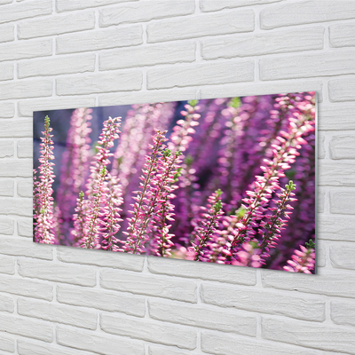 Keuken achterwand glas met print Bloemen