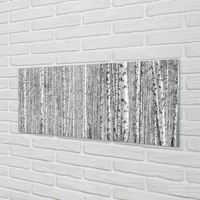 Keuken achterwand glas met print Zwart en wit bosbomen