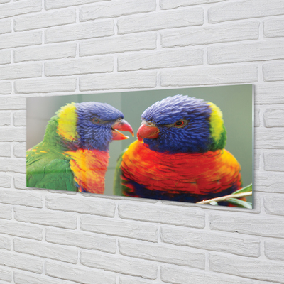 Glazen achterwand keuken Kleurrijke papegaaien