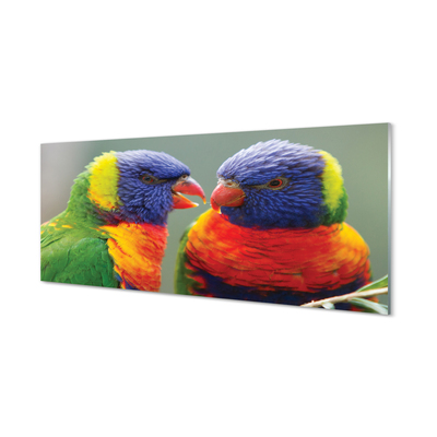 Glazen achterwand keuken Kleurrijke papegaaien