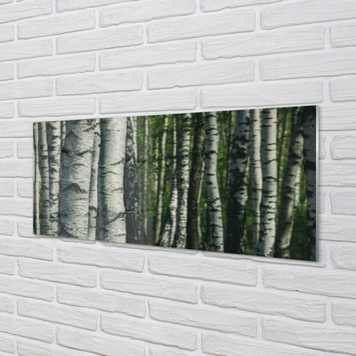 Keuken achterwand glas met print Berkbos