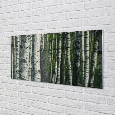 Keuken achterwand glas met print Berkbos