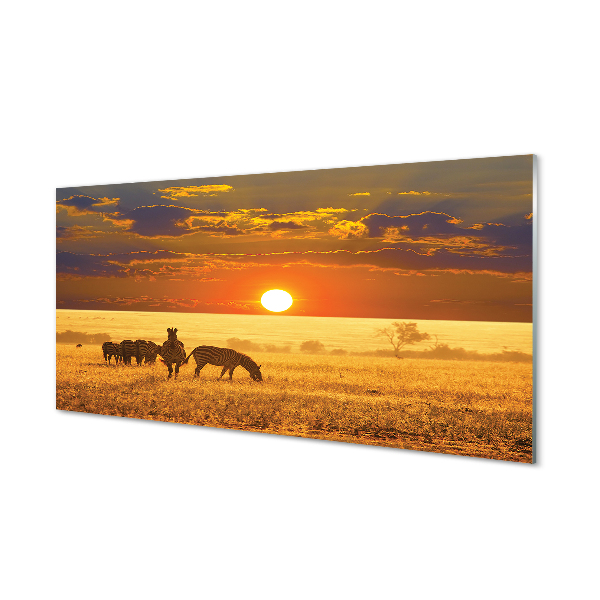 Moderne keuken achterwand Zebra west clouds