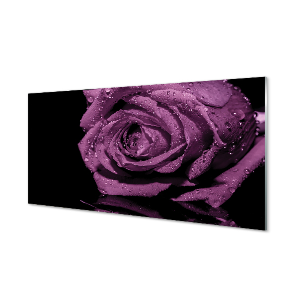 Spatplaat keuken glas Violet roos