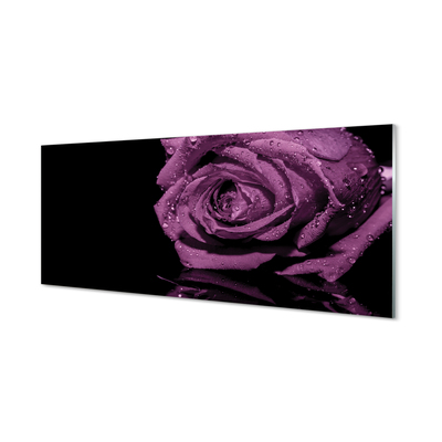 Spatplaat keuken glas Violet roos