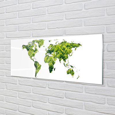 Keuken achterwand glas met print Groene graskaart