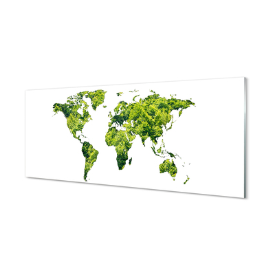 Keuken achterwand glas met print Groene graskaart