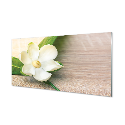 Keuken achterwand glas met print Witte magnolia