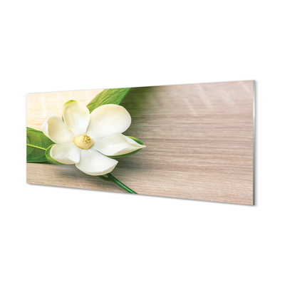 Keuken achterwand glas met print Witte magnolia