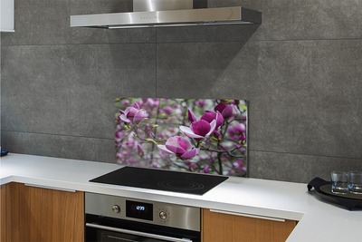 Keuken achterwand glas met print Paars magnolia