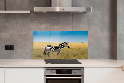 Keuken achterwand glas Zebra-veld
