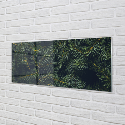 Keuken achterwand glas Twijgen van een kerstboom