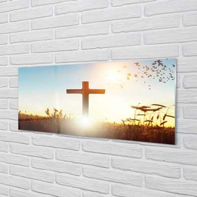 Keuken achterwand glas met print Cross field sun