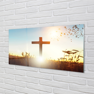 Keuken achterwand glas met print Cross field sun