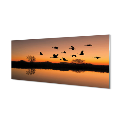 Glazen achterwand keuken Vliegende vogels zonsondergang