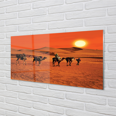 Moderne keuken achterwand Kamelen mensen woestijn zon lucht