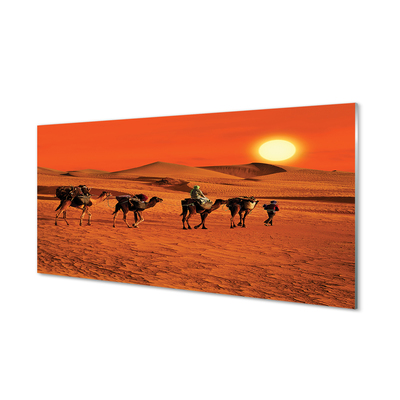 Moderne keuken achterwand Kamelen mensen woestijn zon lucht