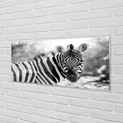 Keuken achterwand glas Retro zebra