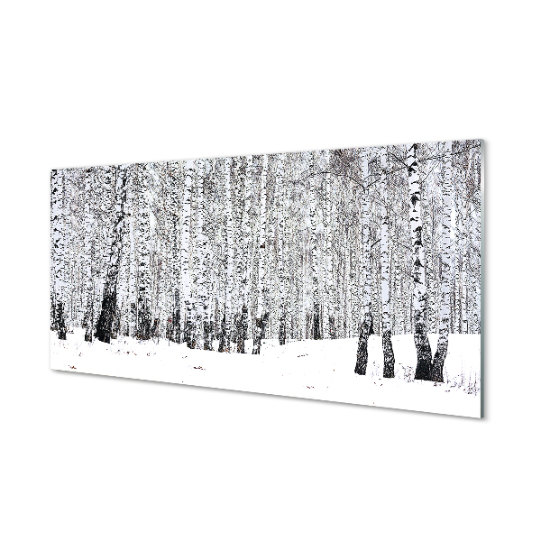 Keuken achterwand glas met print Bomen winter snow birches