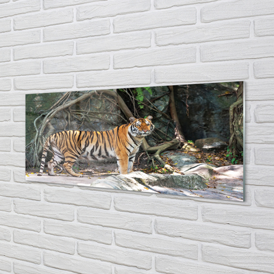 Keuken achterwand glas Jungle tijger
