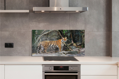 Keuken achterwand glas Jungle tijger