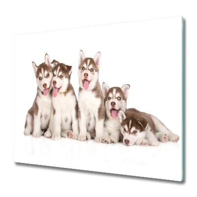 Snijplank van glas Husky pups