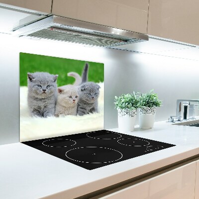 Snijplank van glas Drie katten op de deken